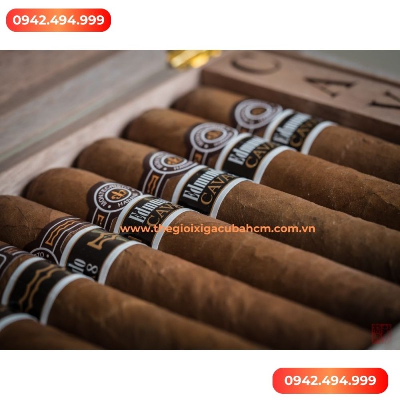 Xì gà Montecristo Edmundo Cava8 hộp 20 điếu thumb