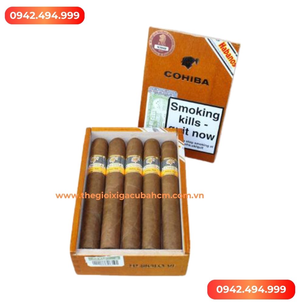 XÌ GÀ COHIBA Siglo 6 hộp 10 điếu