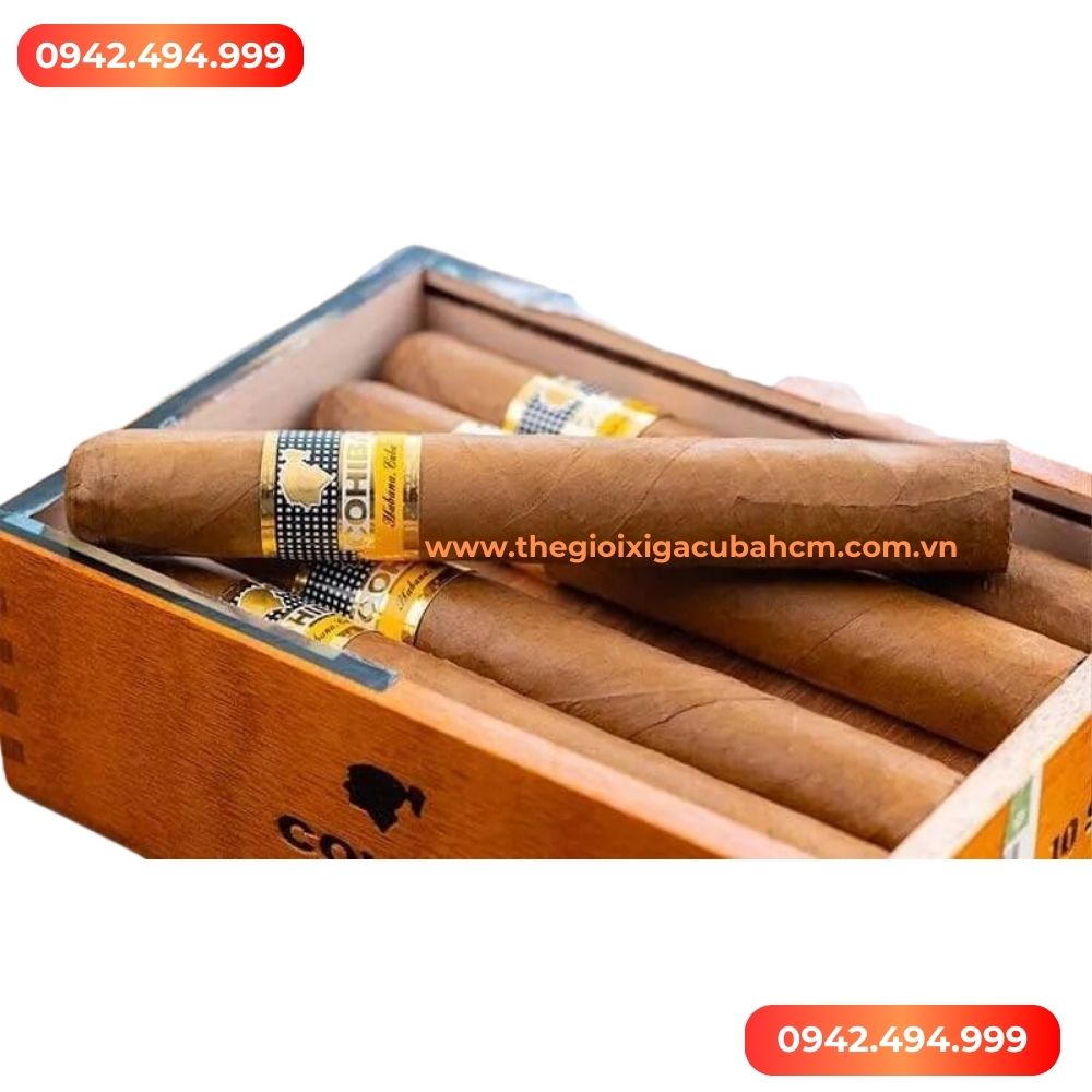 XÌ GÀ COHIBA Siglo 6 hộp 10 điếu