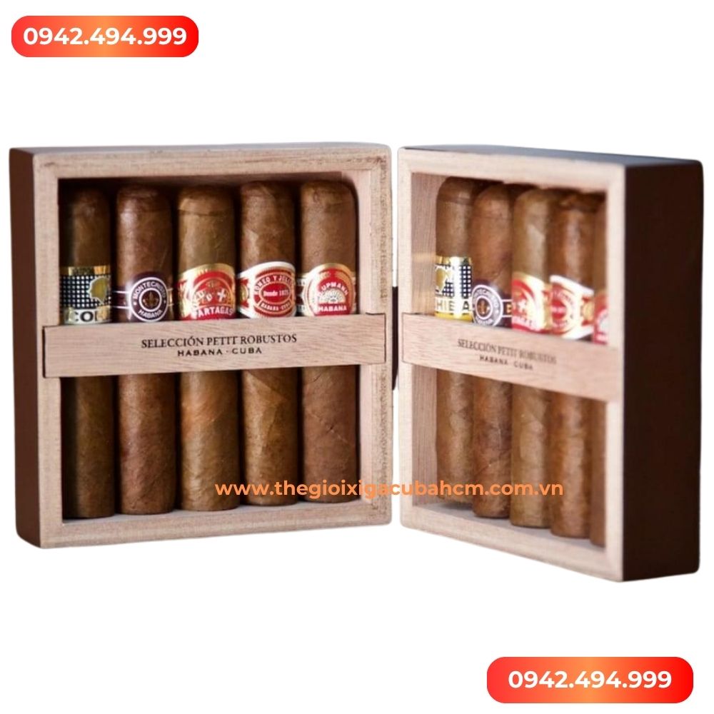 XÌ GÀ COHIBA  Seleccion Petit Robustos hộp 10 điếu